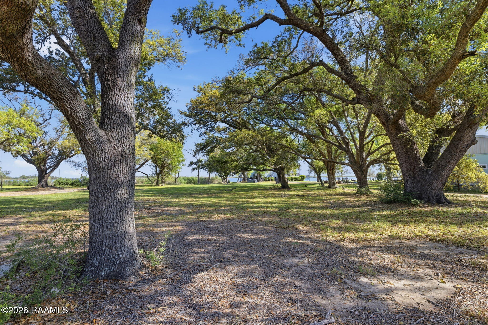 Oak Lane Hackberry, LA 70645 - Photo 11 of 11 11-web-or-mls-HC6A4450