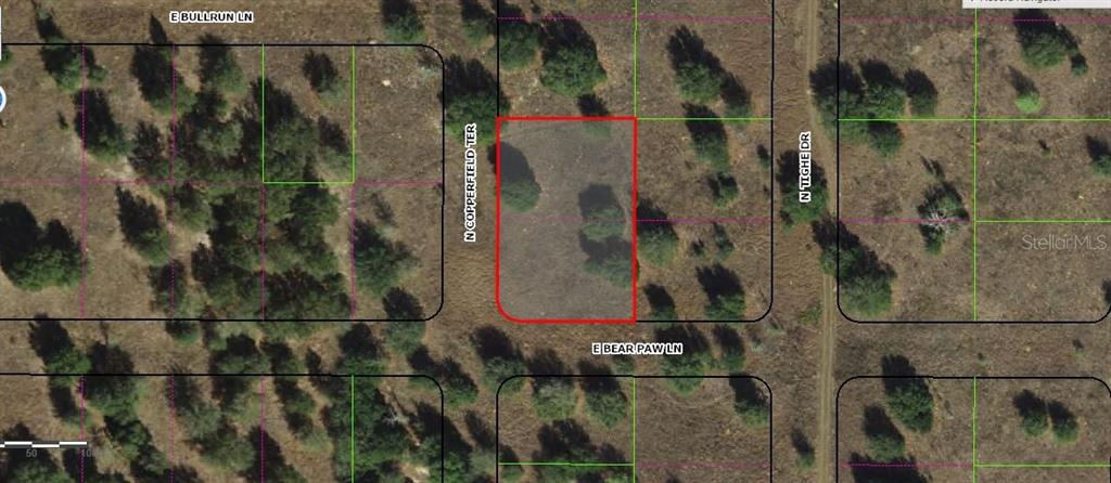 229 North Copperfield Terrace Inverness, FL 34453 - Photo 2 of 2
