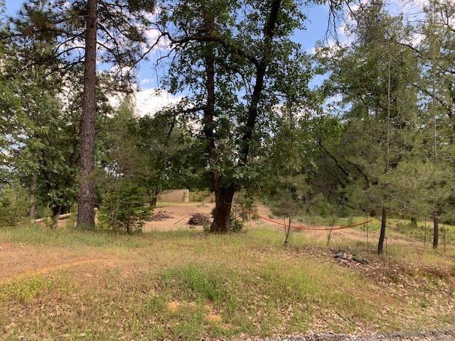 1500 Live Oak Road Colfax, CA 95713 - Photo 3 of 5 a view of a yard