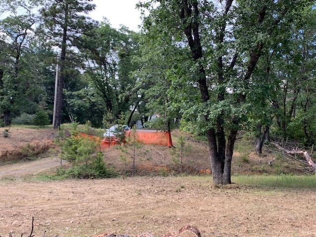 1500 Live Oak Road Colfax, CA 95713 - Photo 4 of 5 a view of a trees with a bench