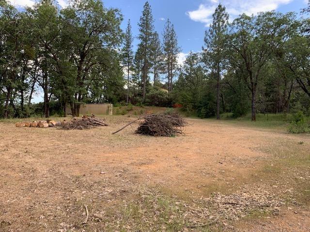 1500 Live Oak Road Colfax, CA 95713 - Photo 5 of 5 a backyard of a house with trees and houses
