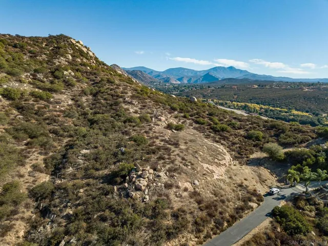 a view of a dry yard with palm trees