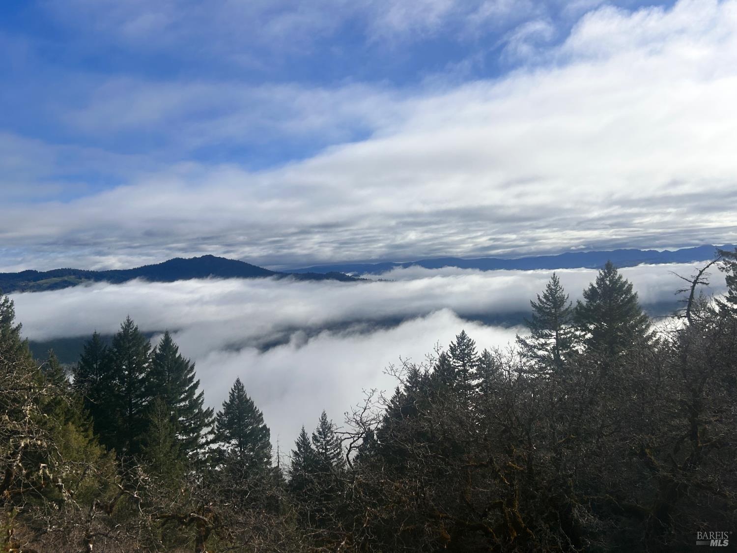 74000 Island Mountain Road Garberville, CA 95542 - Photo 34 of 36 a view of lake