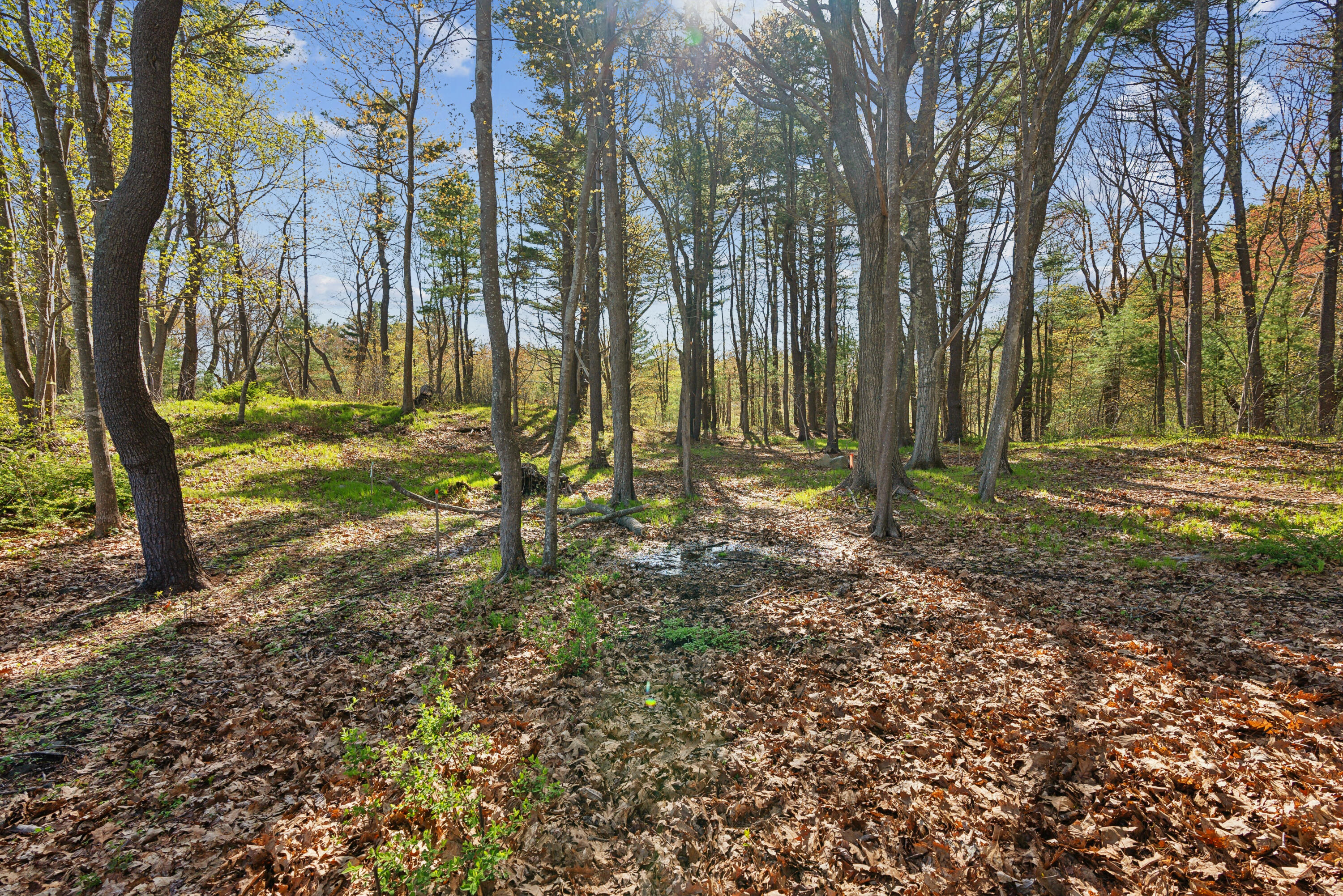 52 Goodwin Road Kittery, ME 03905 - Photo 8 of 20