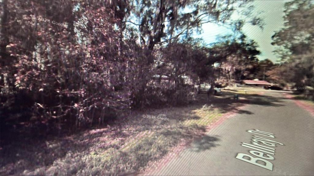 129 Bellray Drive Satsuma, FL 32189 - Photo 1 of 4 a view of water with large trees