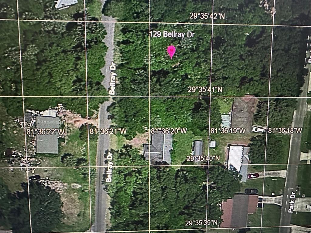 129 Bellray Drive Satsuma, FL 32189 - Photo 2 of 4 a view of yard