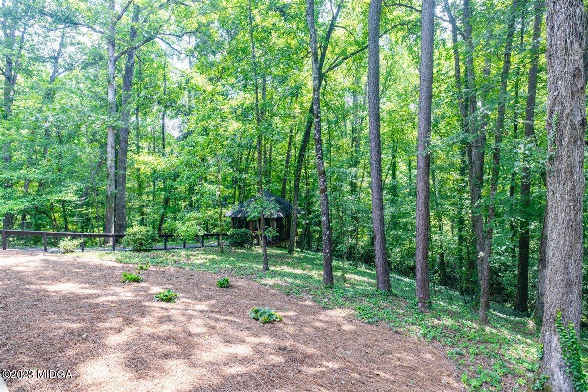 724 Forest Hill Road Macon, GA 31210 - Photo 44 of 46 a ground with lots of trees