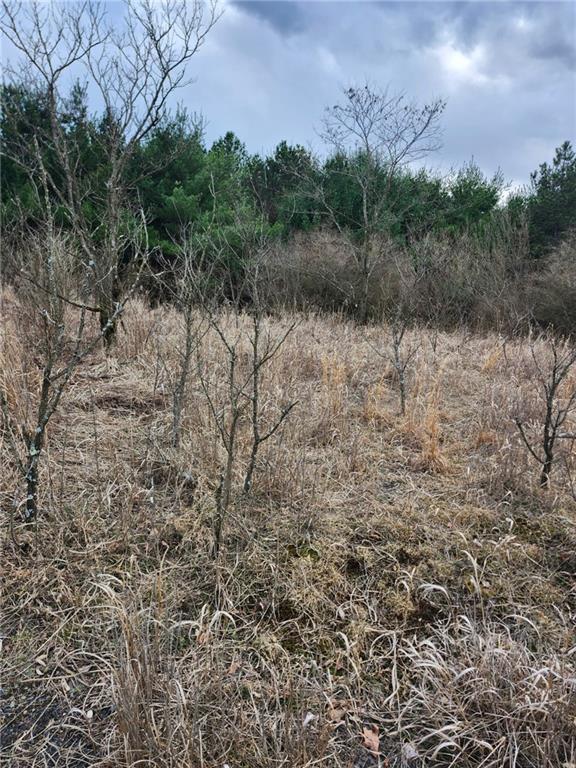 31-acres Along St Lawrence Road Coalport, PA 16627 - Photo 3 of 5