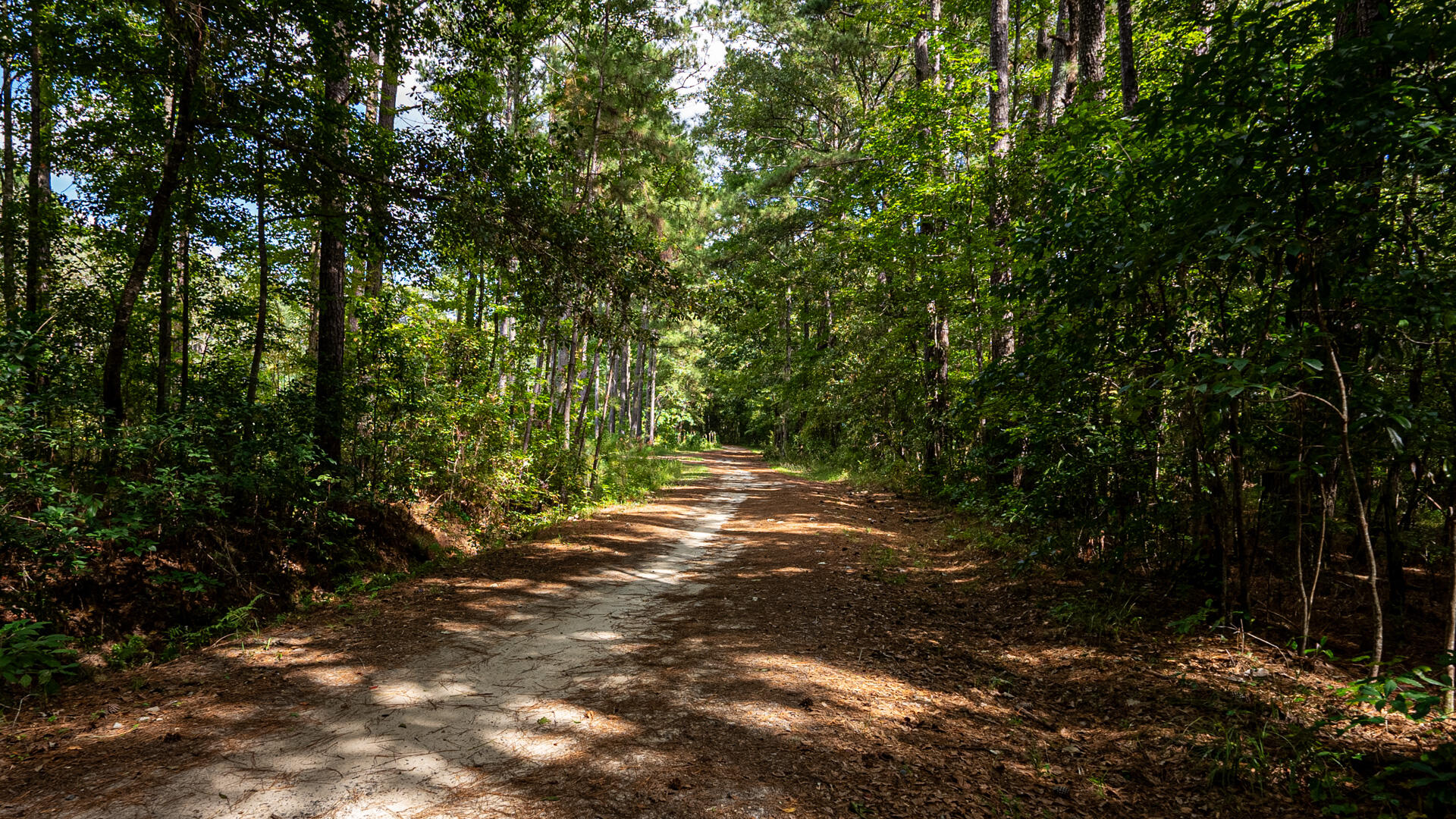 0 Tuten Road Round O, SC 29474 - Photo 21 of 37 Bluefield Plantation-12