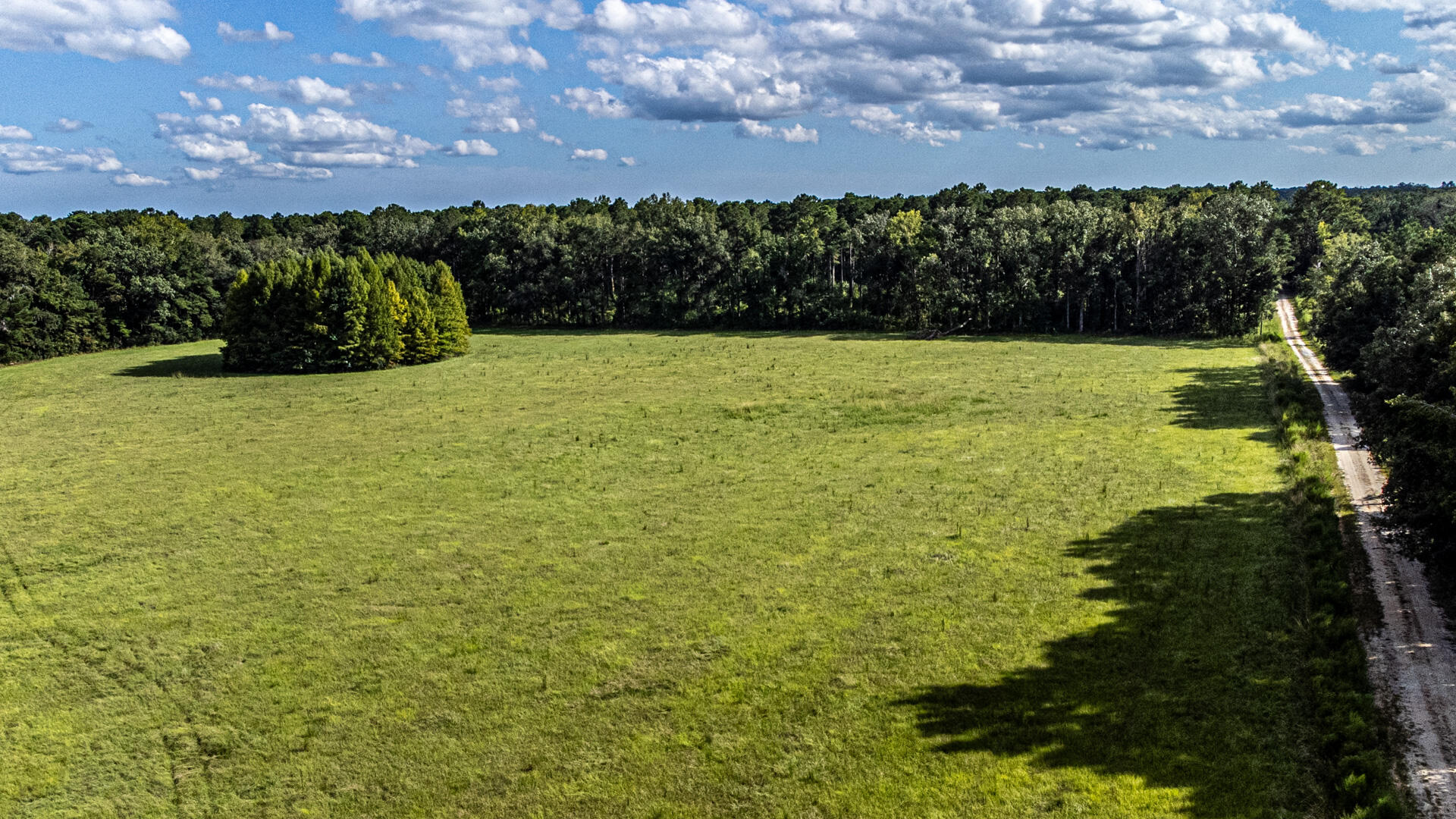 0 Tuten Road Round O, SC 29474 - Photo 35 of 37 Bluefield Plantation-36