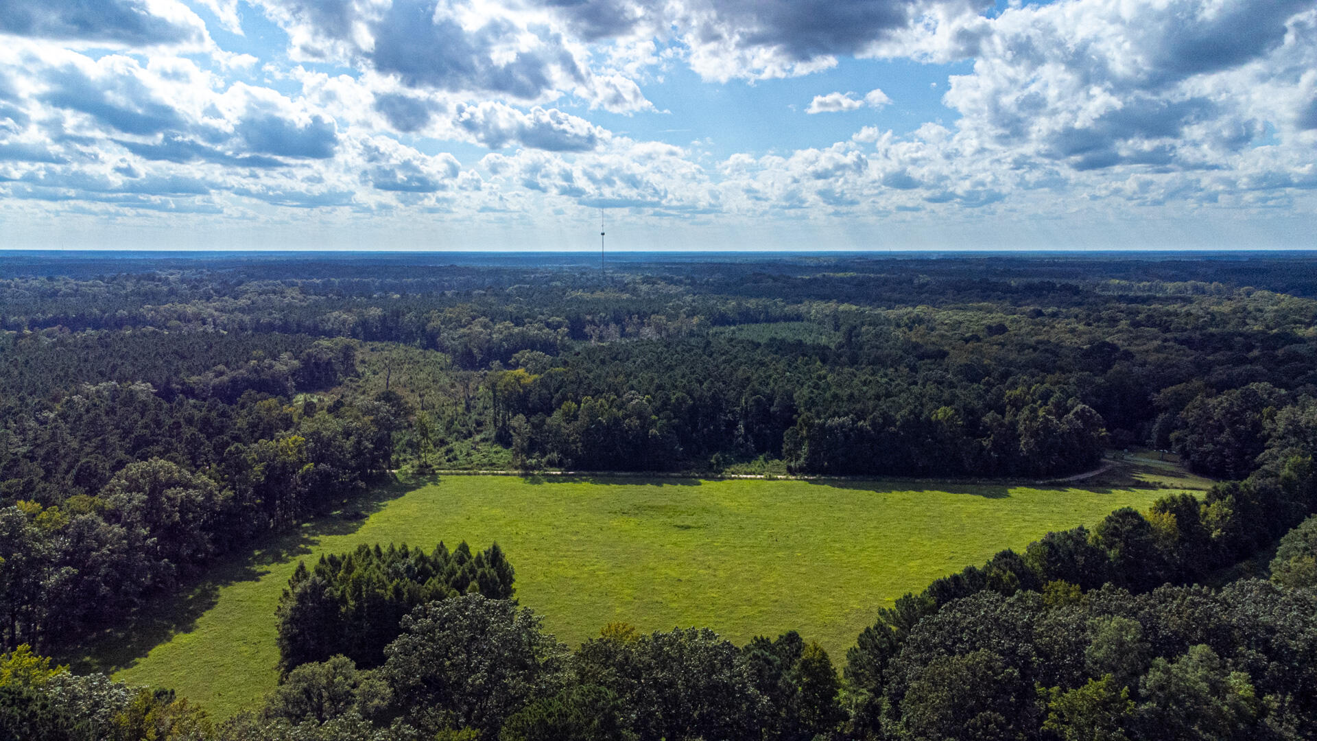 0 Tuten Road Round O, SC 29474 - Photo 36 of 37 Bluefield Plantation-38