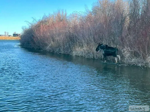 $859,000 | 3591 Henry's Frk Way, Rexburg, ID 83440