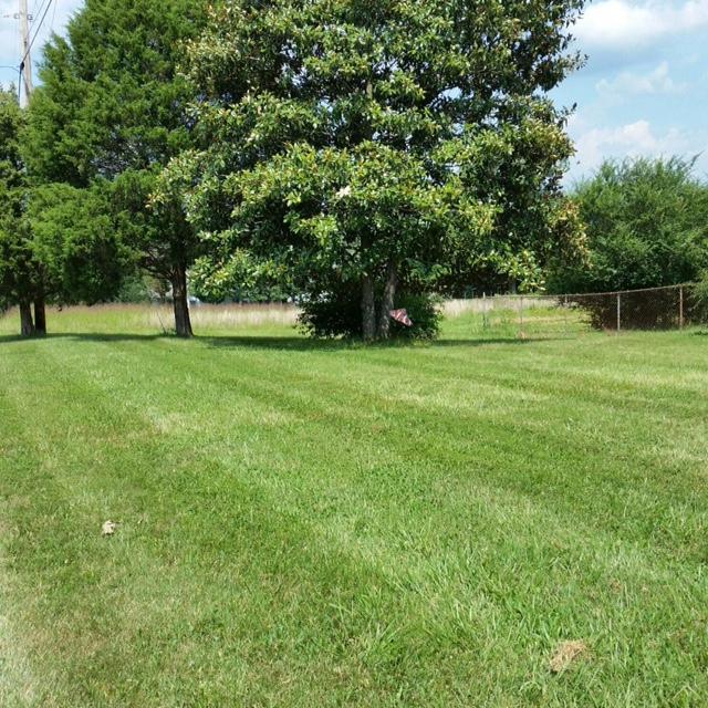 2620 Botetourt Road Fincastle, VA 24090 - Photo 5 of 14 IMG_2987