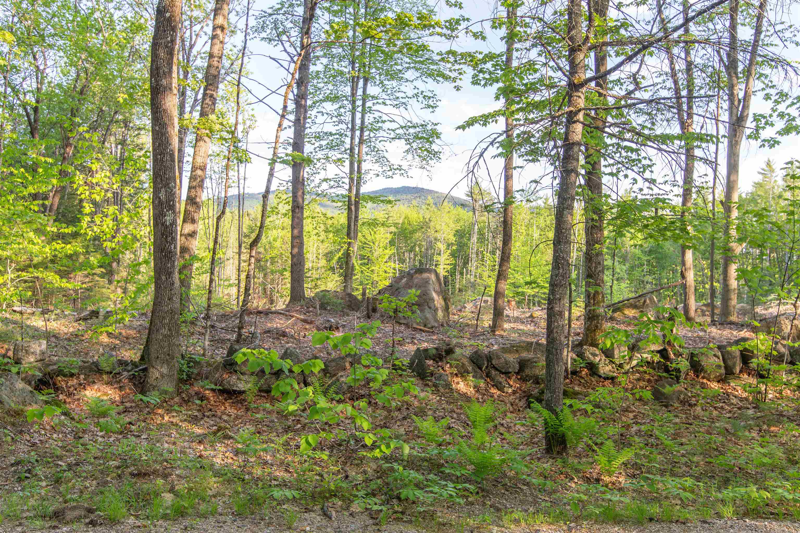 0 Elijah Beede Road Sandwich, NH 03227 - Photo 18 of 28