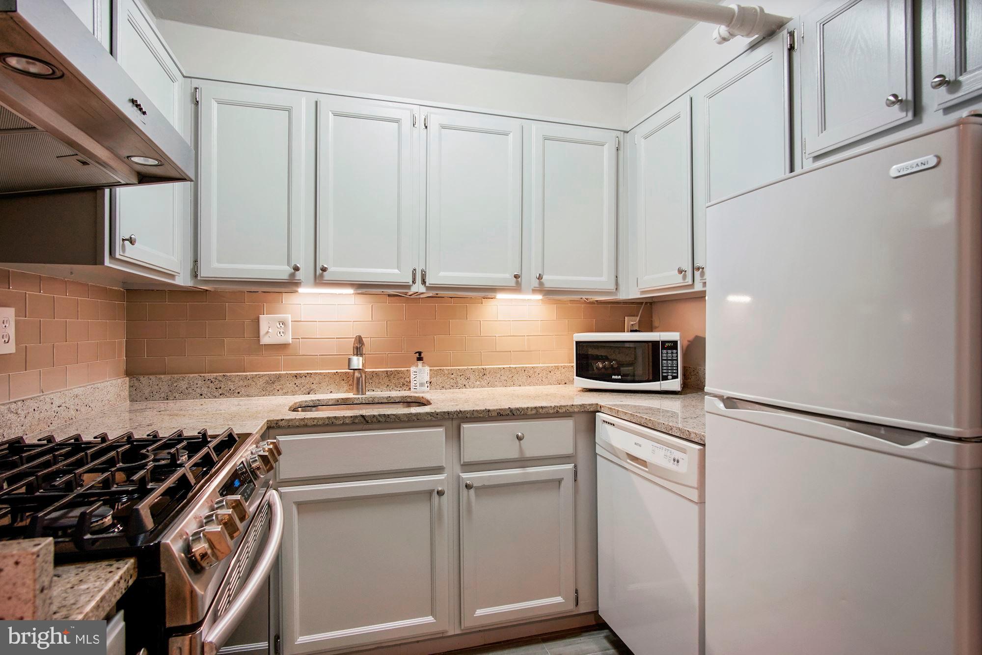 1616 S Street Northwest Washington, DC 20009 - Photo 12 of 32 Tastefully Renovated Kitchen