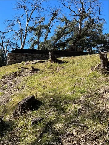 a view of outdoor space and yard