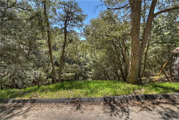 a view of backyard with green space