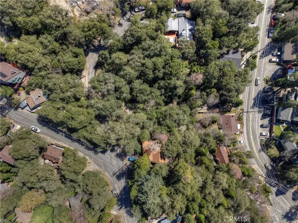 view of a forest with houses