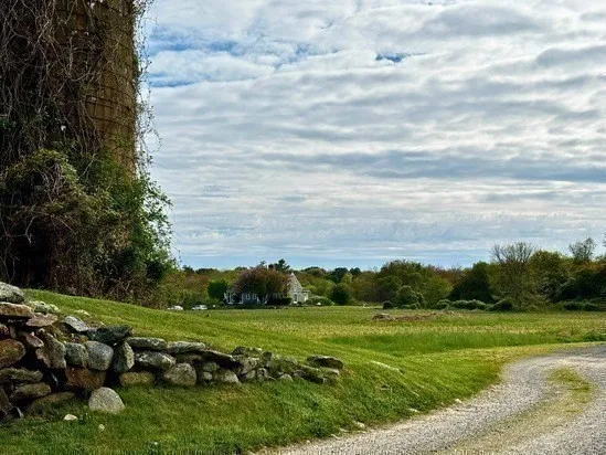 a view of a green field with lots of green space