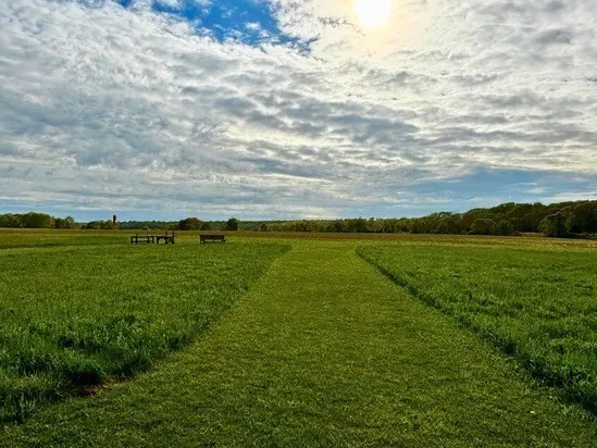 a view of a field with an ocean