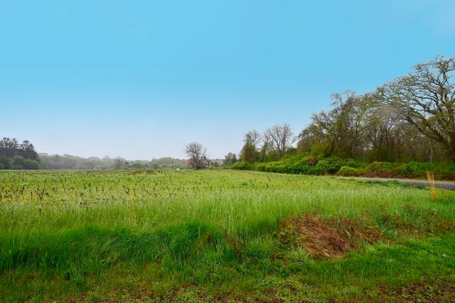 a view of a grassy field with trees