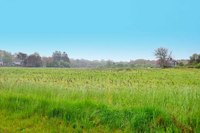 a view of a lush green field