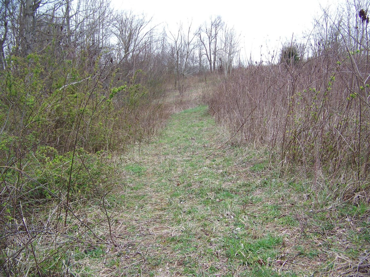 740 Horse Ridge Road Stanford, KY 40484 - Photo 20 of 22 Listing Photo