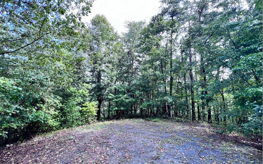 Additional View