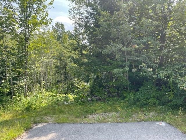924 Grandview Road, Unit 61 Conway, NH 03818 - Photo 4 of 6
