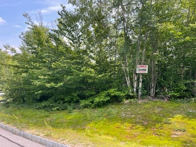 924 Grandview Road, Unit 61 Conway, NH 03818 - Photo 5 of 6