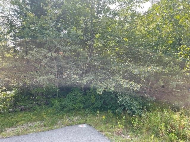 924 Grandview Road, Unit 61 Conway, NH 03818 - Photo 6 of 6