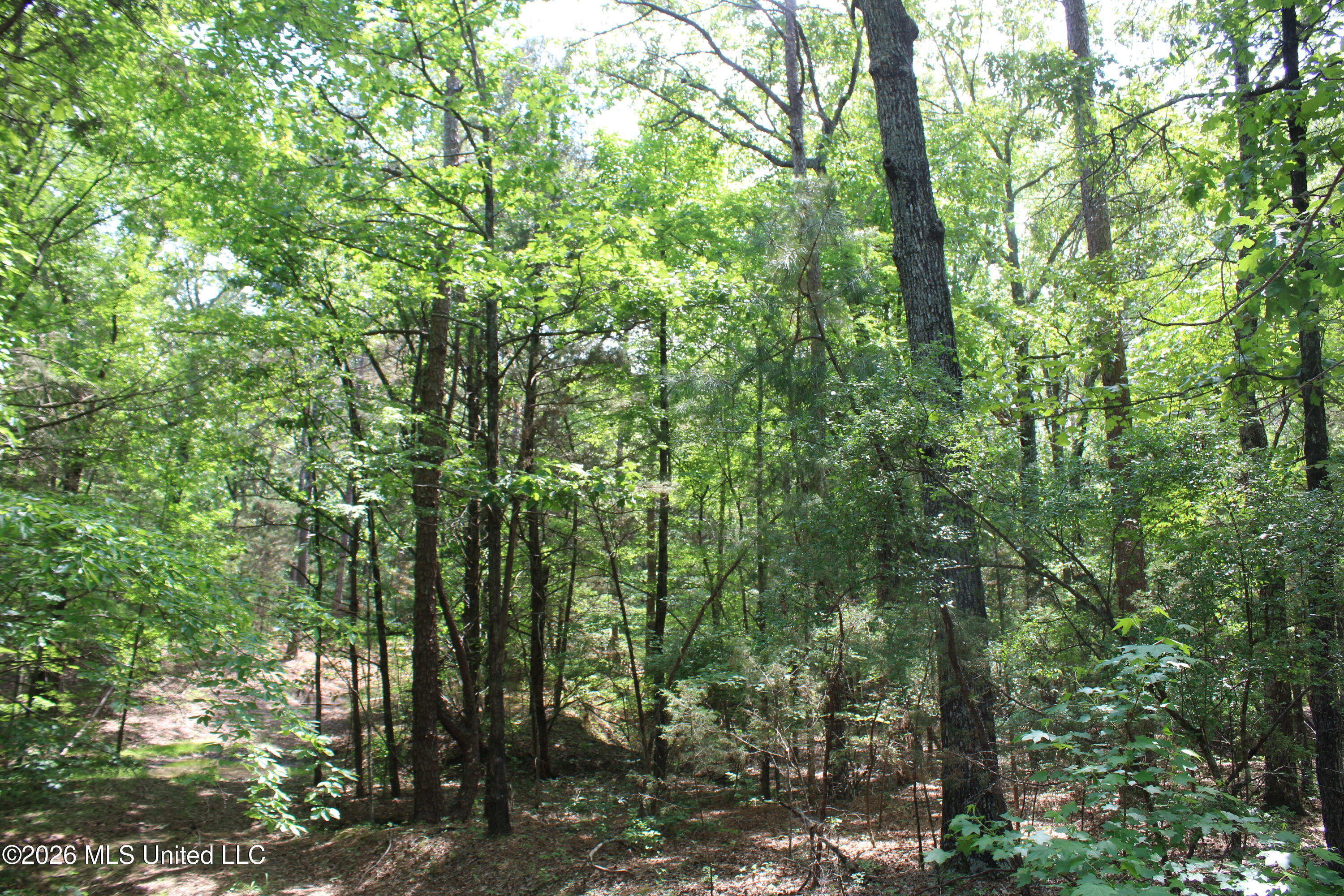 500 Boswell Road Holly Springs, MS 38635 - Photo 9 of 23 IMG_7791