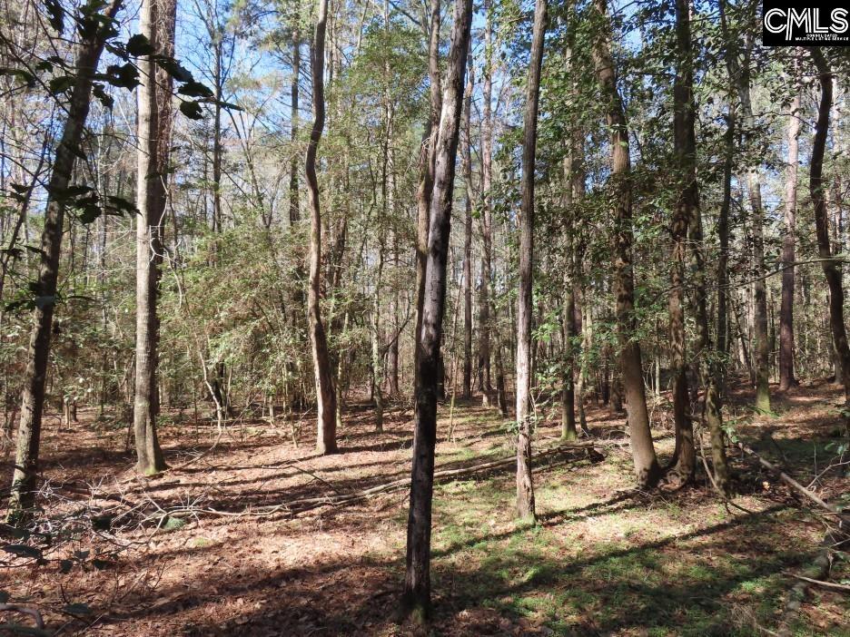 1672 Dixired Road Leesville, SC 29070 - Photo 35 of 67