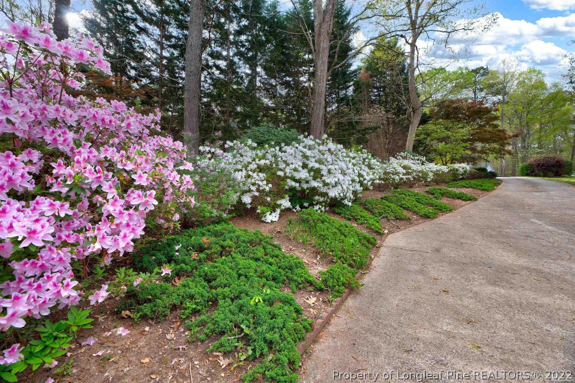 7700 Senter Farm Road Apex, NC 27539 - Photo 33 of 36 Gallery Image 33