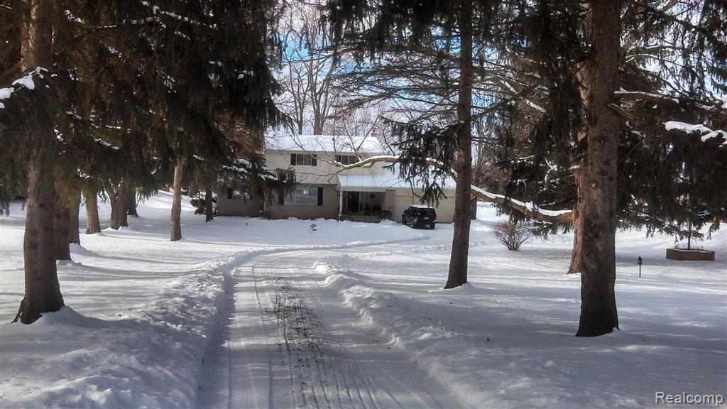 9689 Pine Knob Road Clarkston, MI 48348 - Photo 1 of 17 Front tree lined driveway