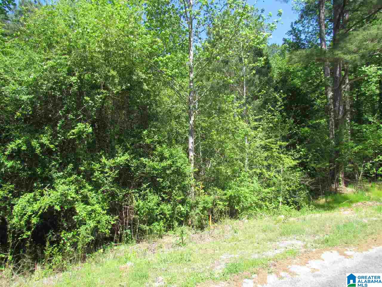 1545 Mountain Top Loop Road Pell City, AL 35128 - Photo 1 of 2 Gallery Image 1