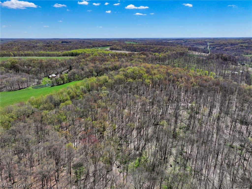 6692 Butler-North Liberty Road Butler, OH 44822 - Photo 11 of 23 View of birds eye view of property