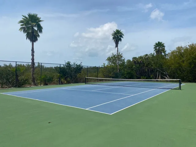 a view of a swimming pool with a lake view