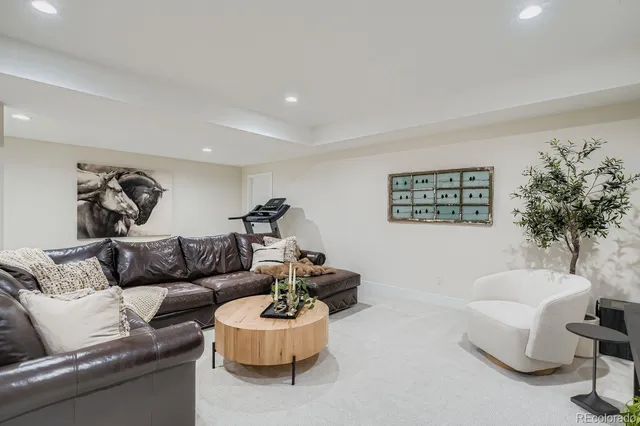 a living room with furniture and a potted plant