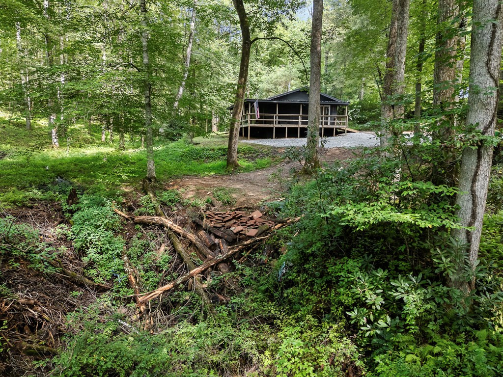 123 Quarry Road Andrews, NC 28901 - Photo 51 of 55