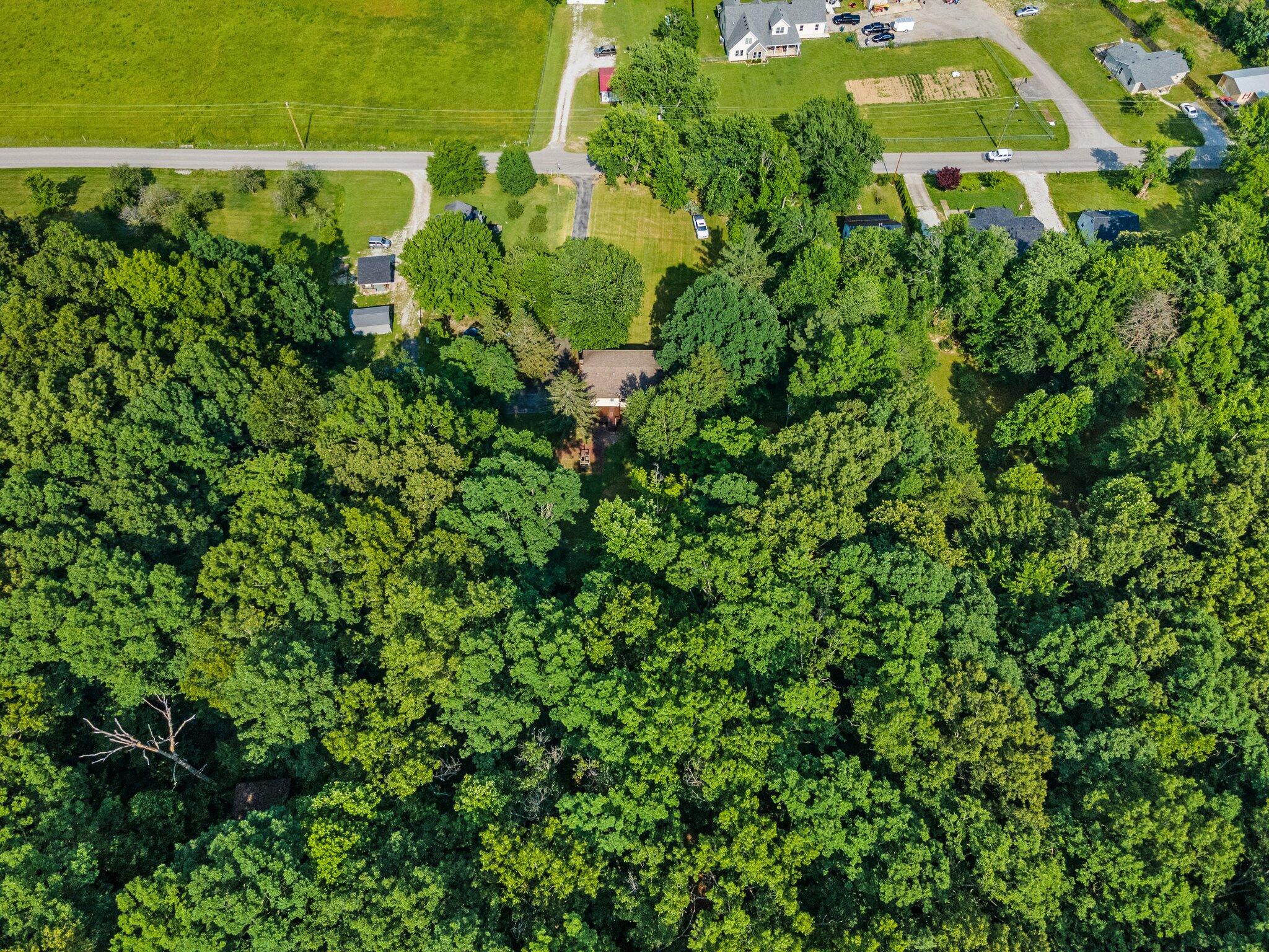 2807 Scaffold Cane Road Berea, KY 40403 - Photo 44 of 47 4-web-or-mls-DJI_0124