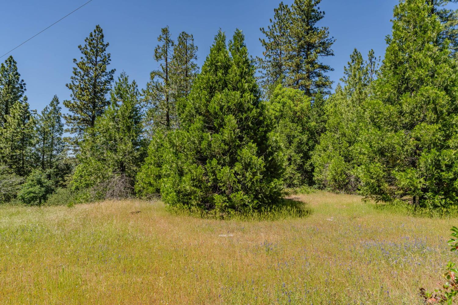 0 Schaefer Ranch Road Pioneer, CA 95666 - Photo 24 of 72