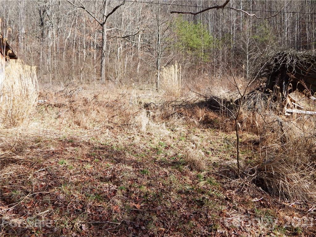 0 Flynn Branch Road Marshall, NC 28753 - Photo 11 of 19 Gallery Image 11