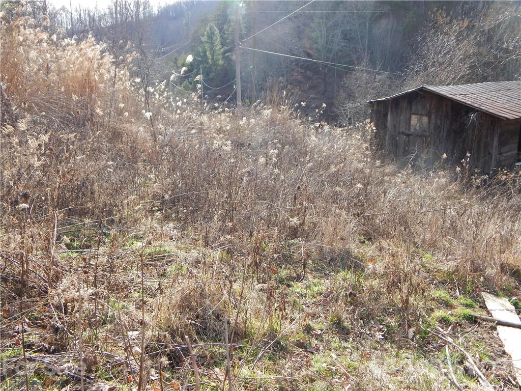0 Flynn Branch Road Marshall, NC 28753 - Photo 13 of 19 Gallery Image 13