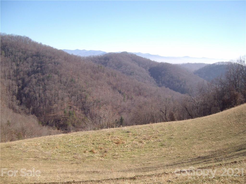 0 Flynn Branch Road Marshall, NC 28753 - Photo 14 of 19 Gallery Image 14