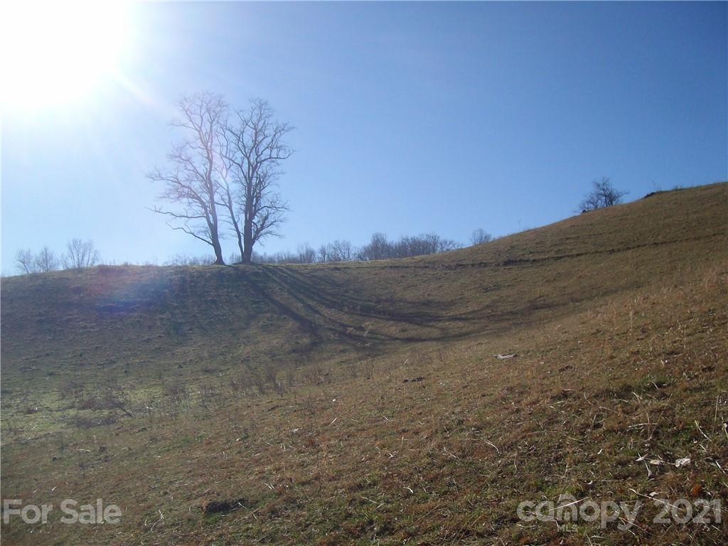0 Flynn Branch Road Marshall, NC 28753 - Photo 17 of 19 Gallery Image 17