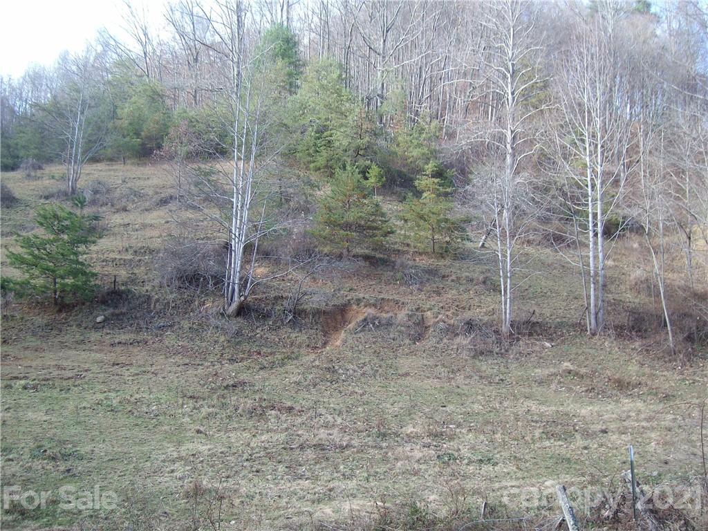 0 Flynn Branch Road Marshall, NC 28753 - Photo 18 of 19 Gallery Image 18
