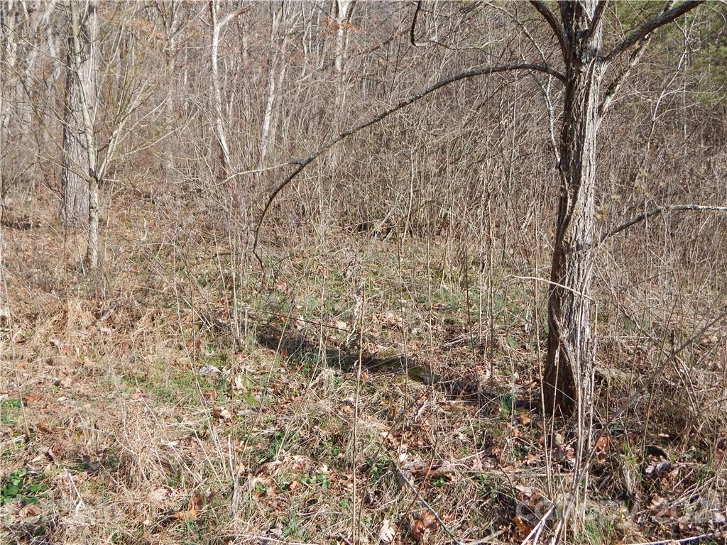 0 Flynn Branch Road Marshall, NC 28753 - Photo 10 of 19 Gallery Image 10