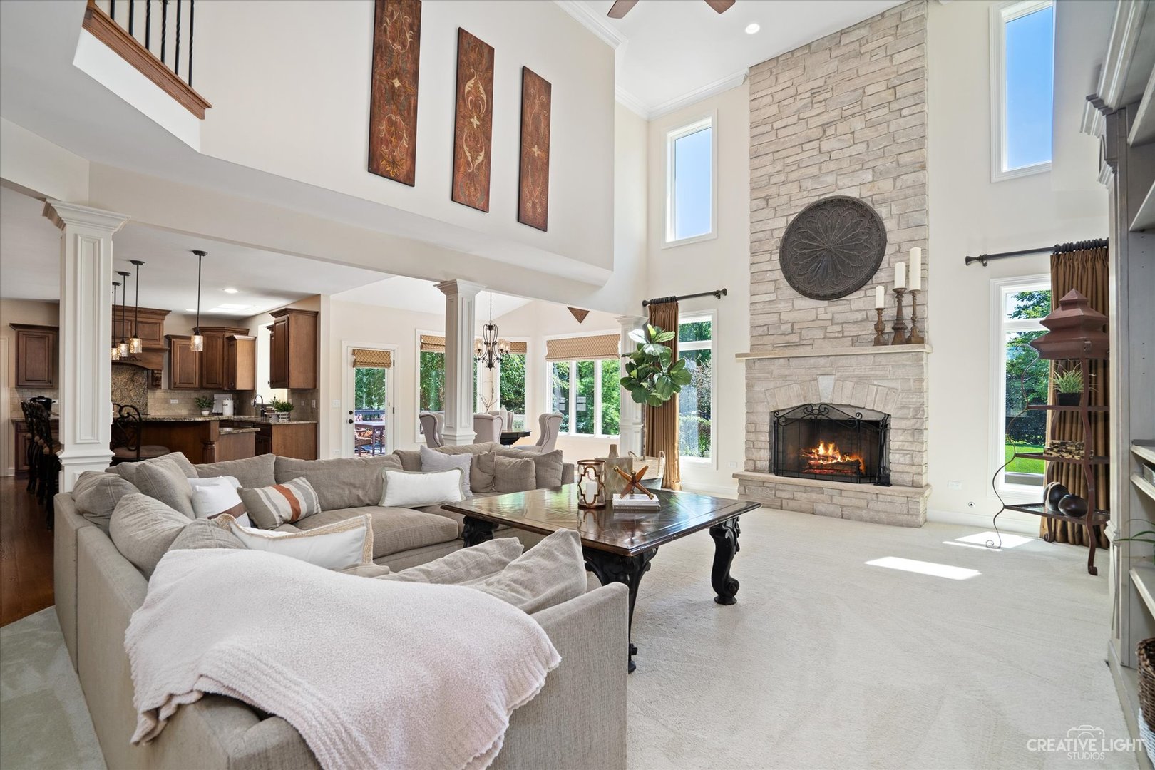 4008 Champion Road Naperville, IL 60564 - Photo 3 of 55