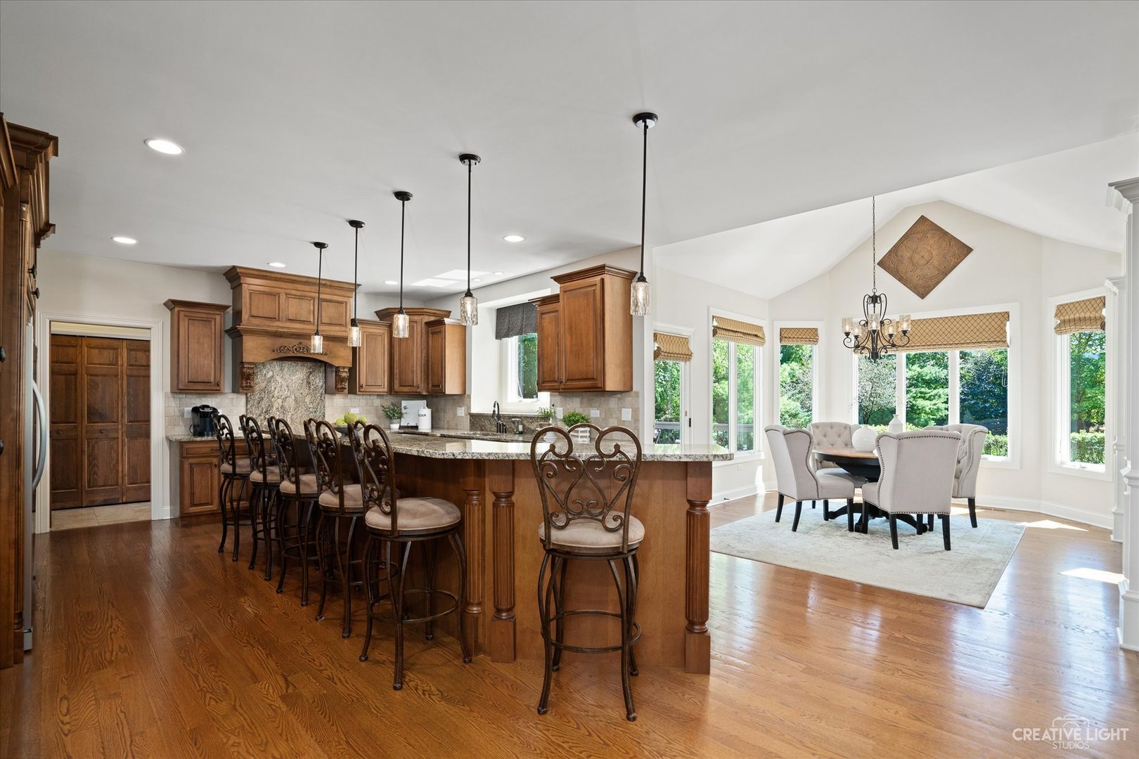 4008 Champion Road Naperville, IL 60564 - Photo 10 of 55